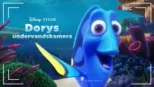 thumbnail - Dorys undervandskamera