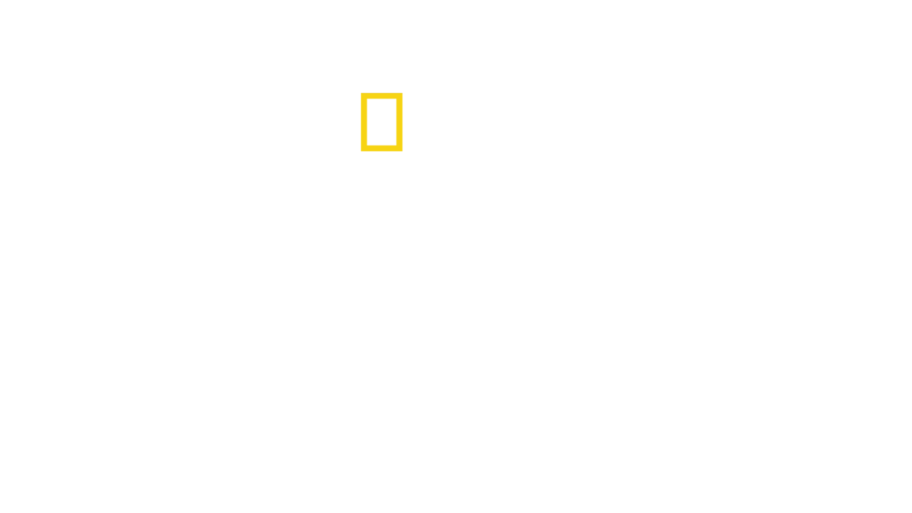 鳥の惑星