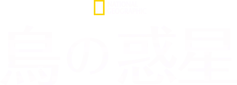 鳥の惑星