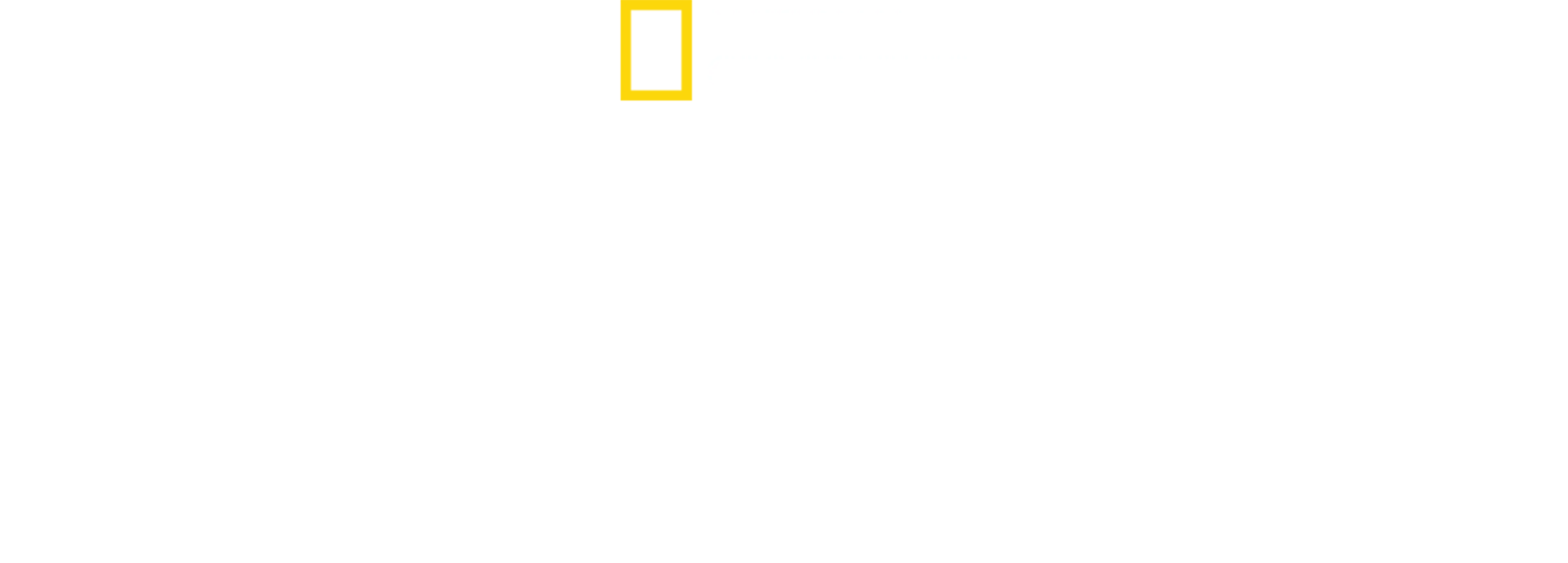 鳥の惑星