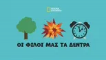 thumbnail - Οι Φίλοι μας τα Δέντρα