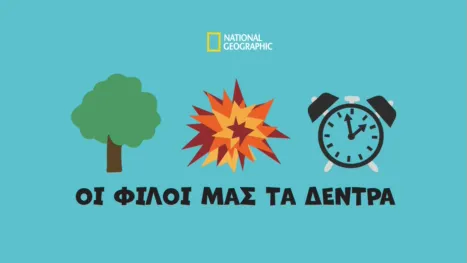 thumbnail - Οι Φίλοι μας τα Δέντρα
