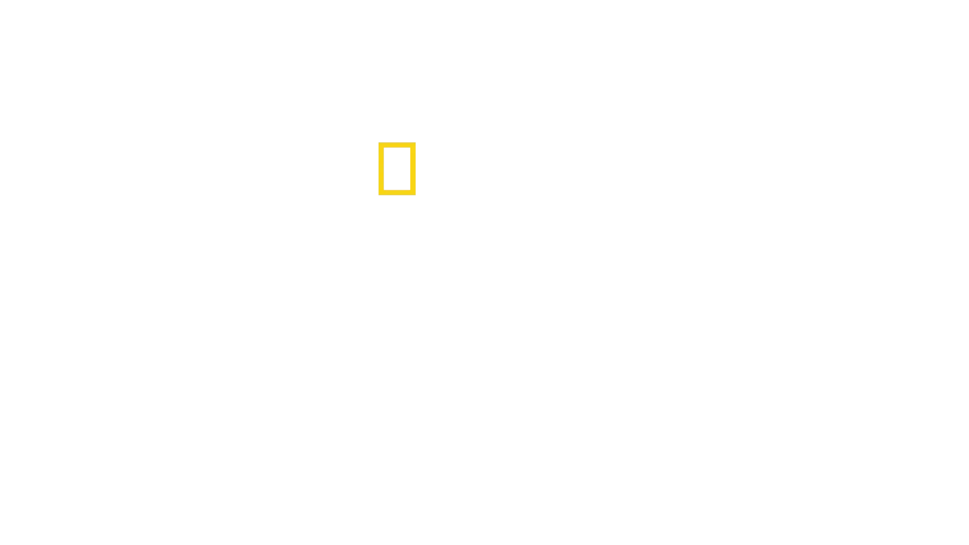 Eläintarhan salaisuudet