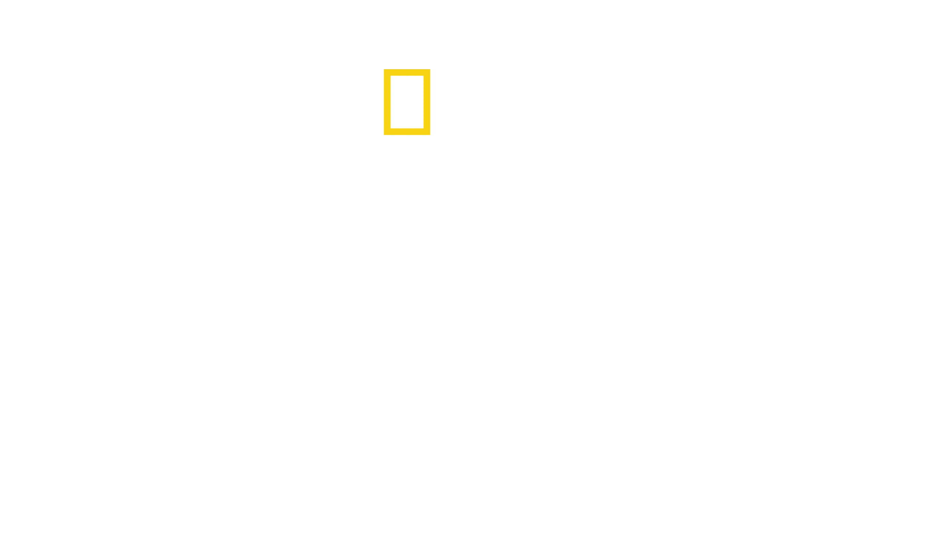 スゴ腕どうぶつドクター