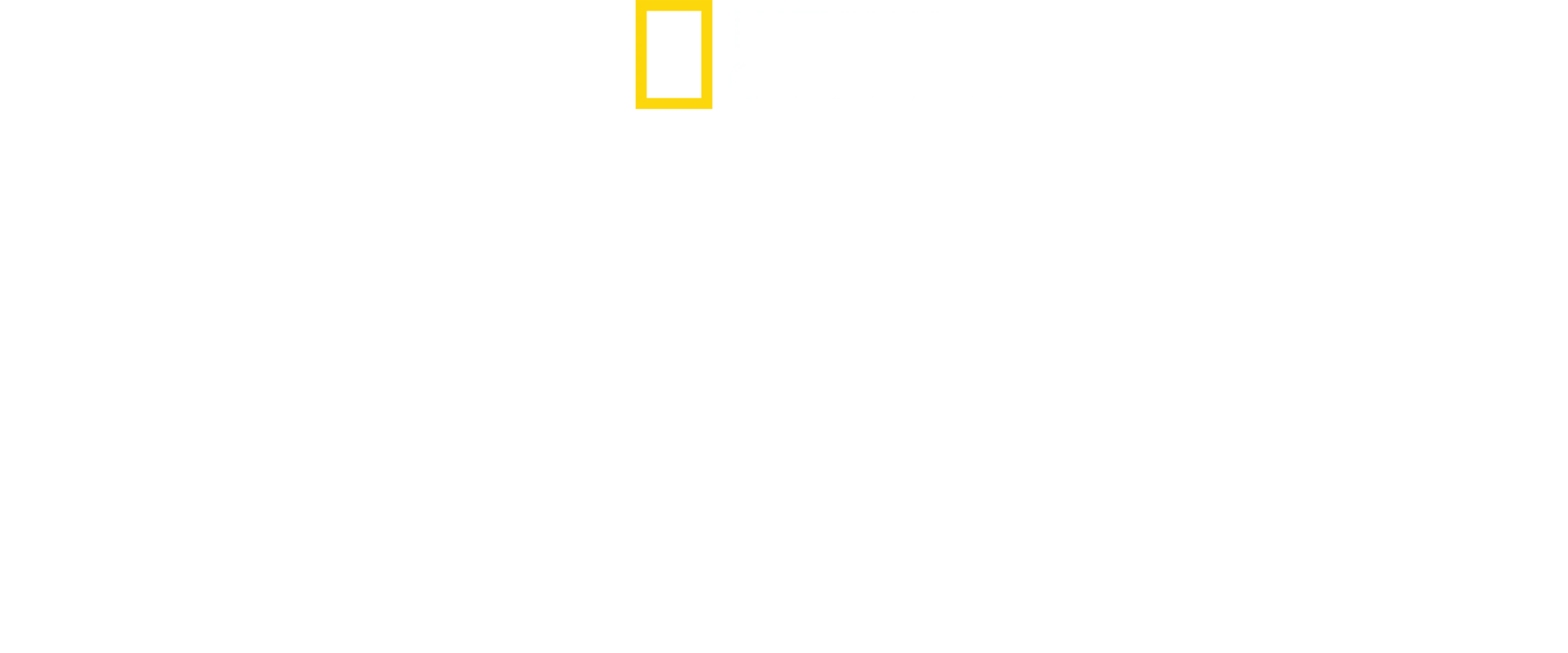 スゴ腕どうぶつドクター