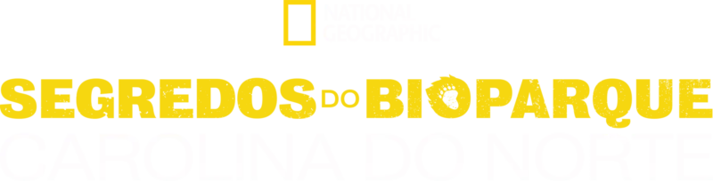Os Segredos do Zoológico: Carolina do Norte