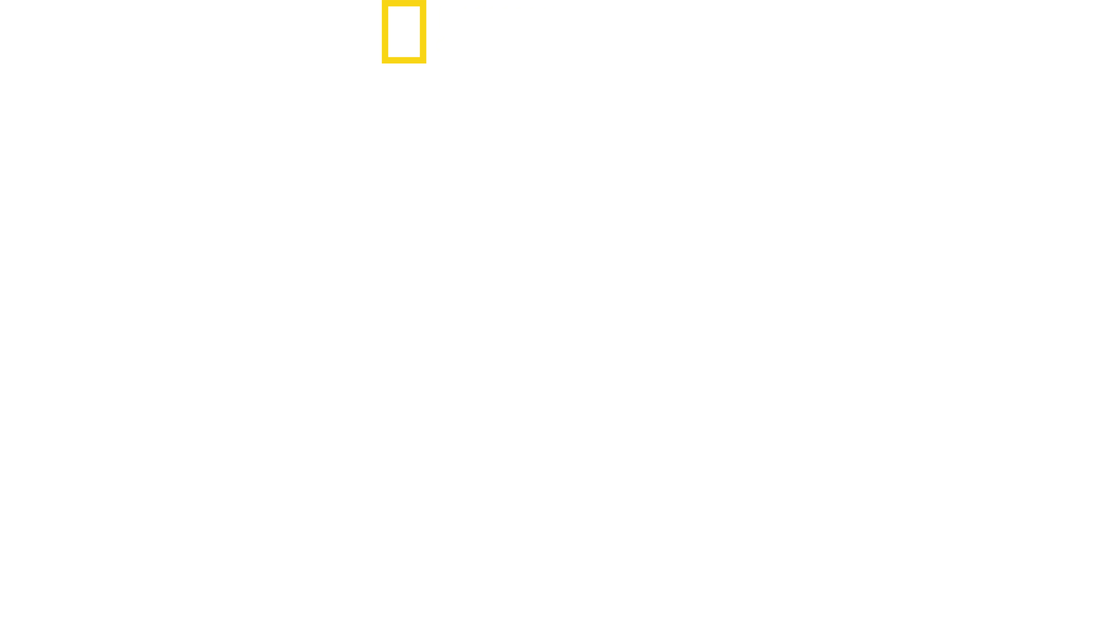 Haie auf Angriff
