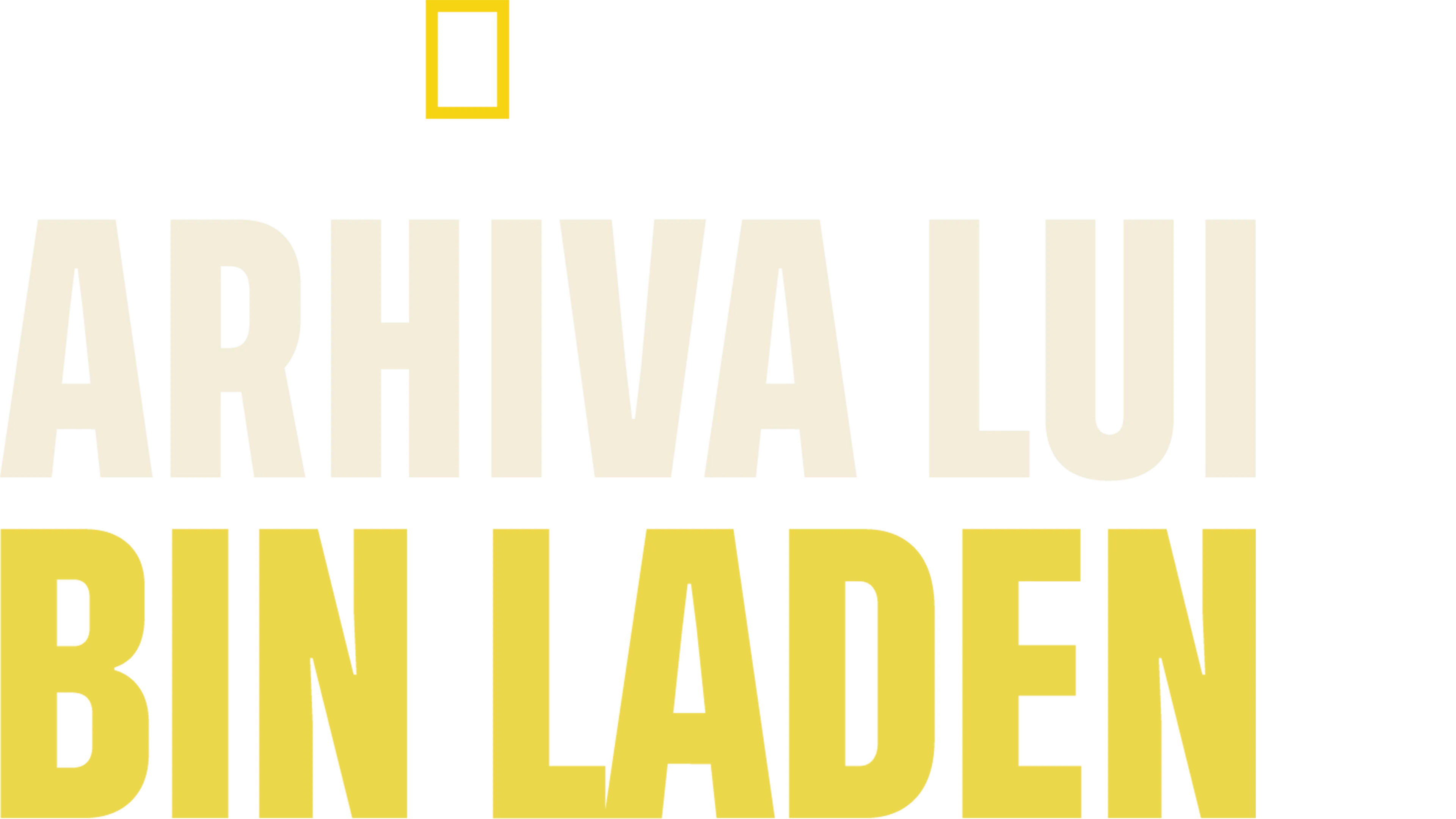 Arhiva lui Bin Laden