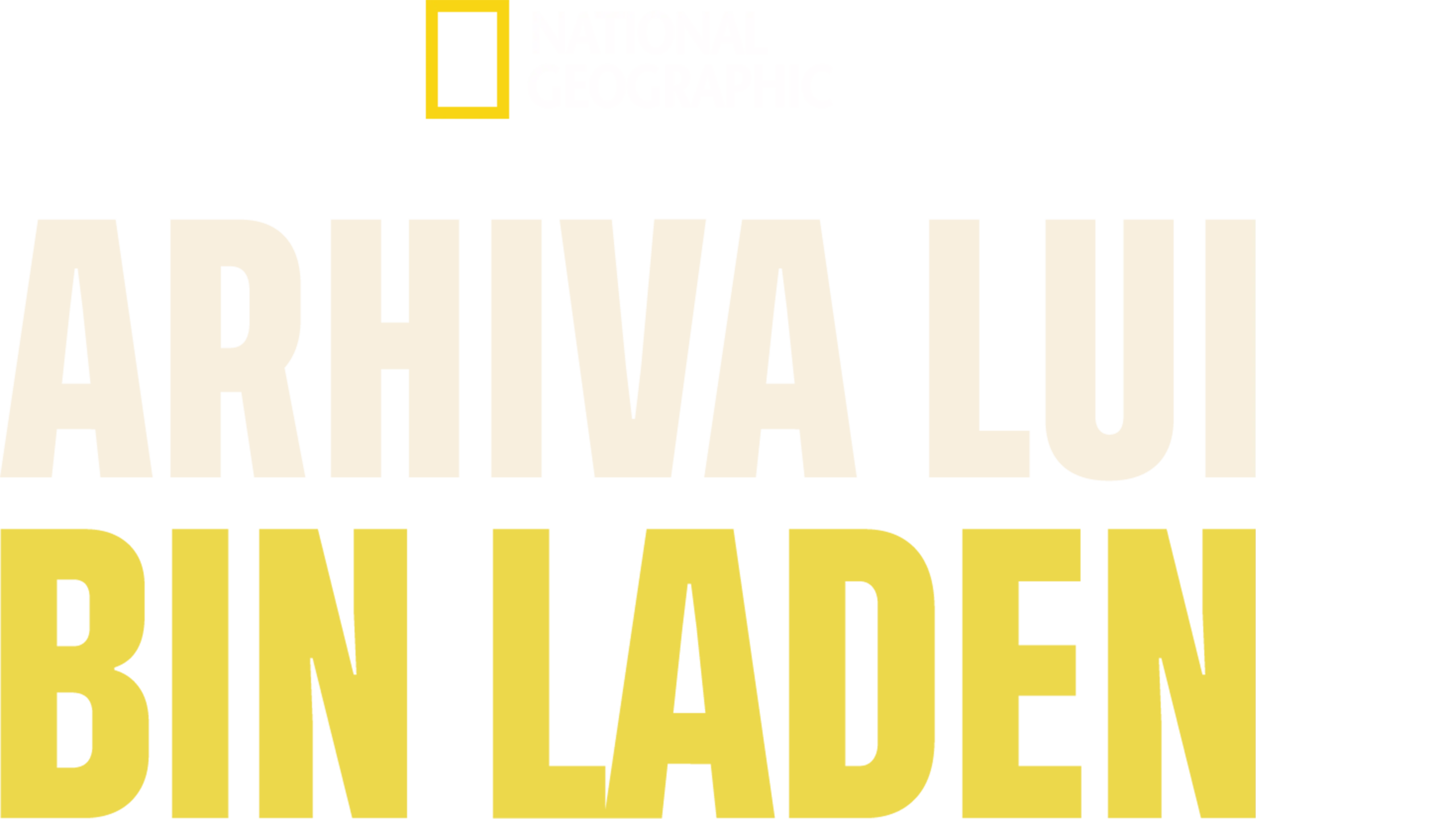 Arhiva lui Bin Laden