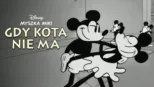 thumbnail - Gdy kota nie ma