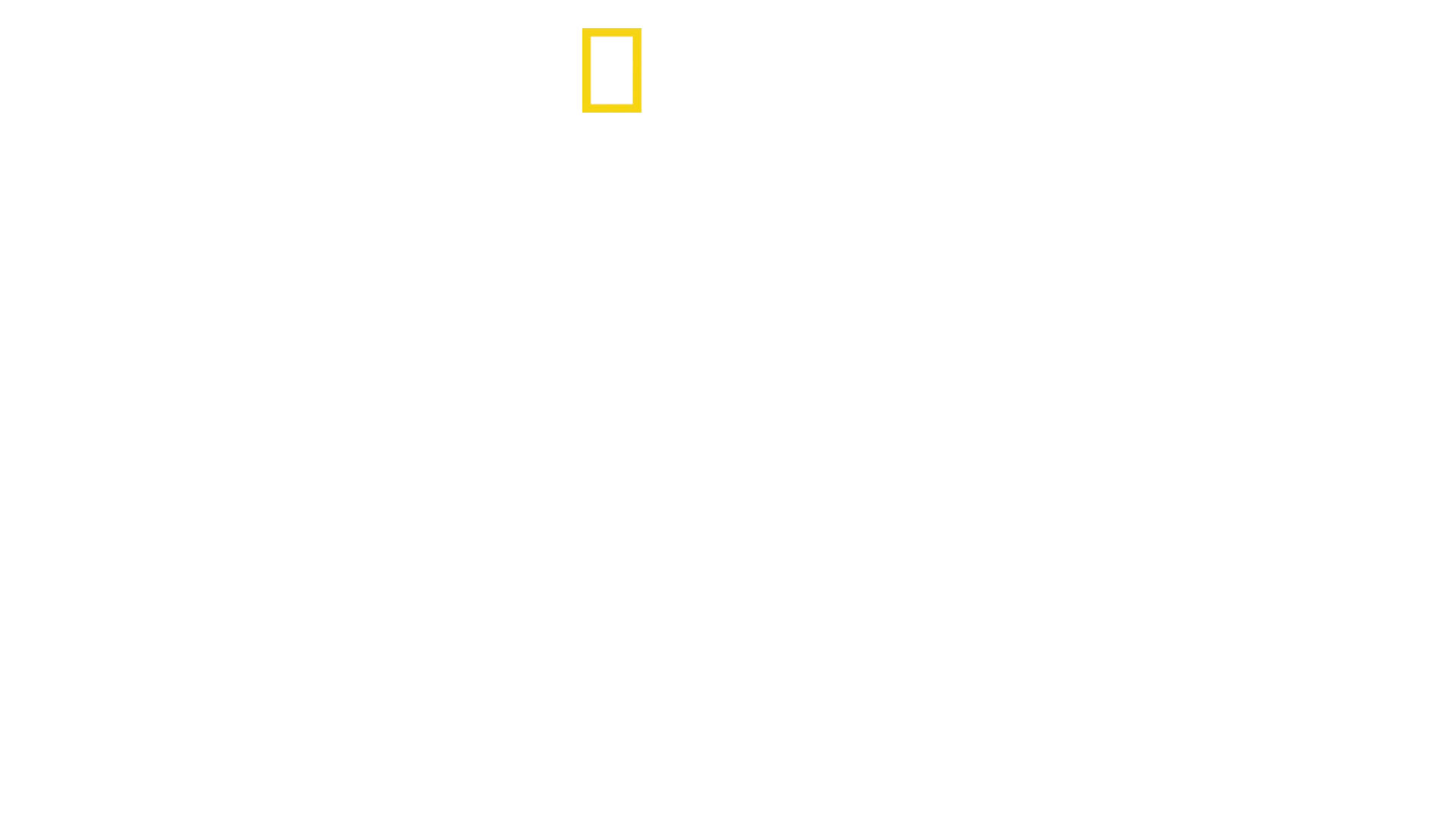 En tiempo récord