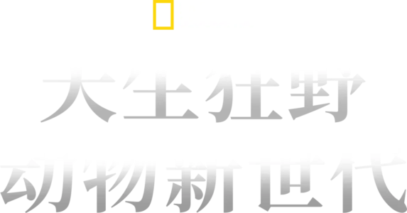 天生狂野：动物新世代