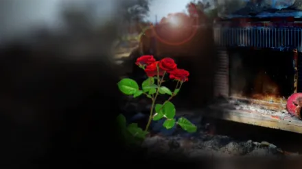 After the Ashes: Rebuilding from the LA Wildfires