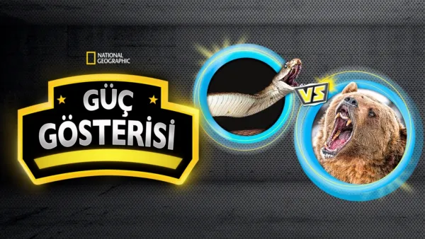 thumbnail - Güç Gösterisi