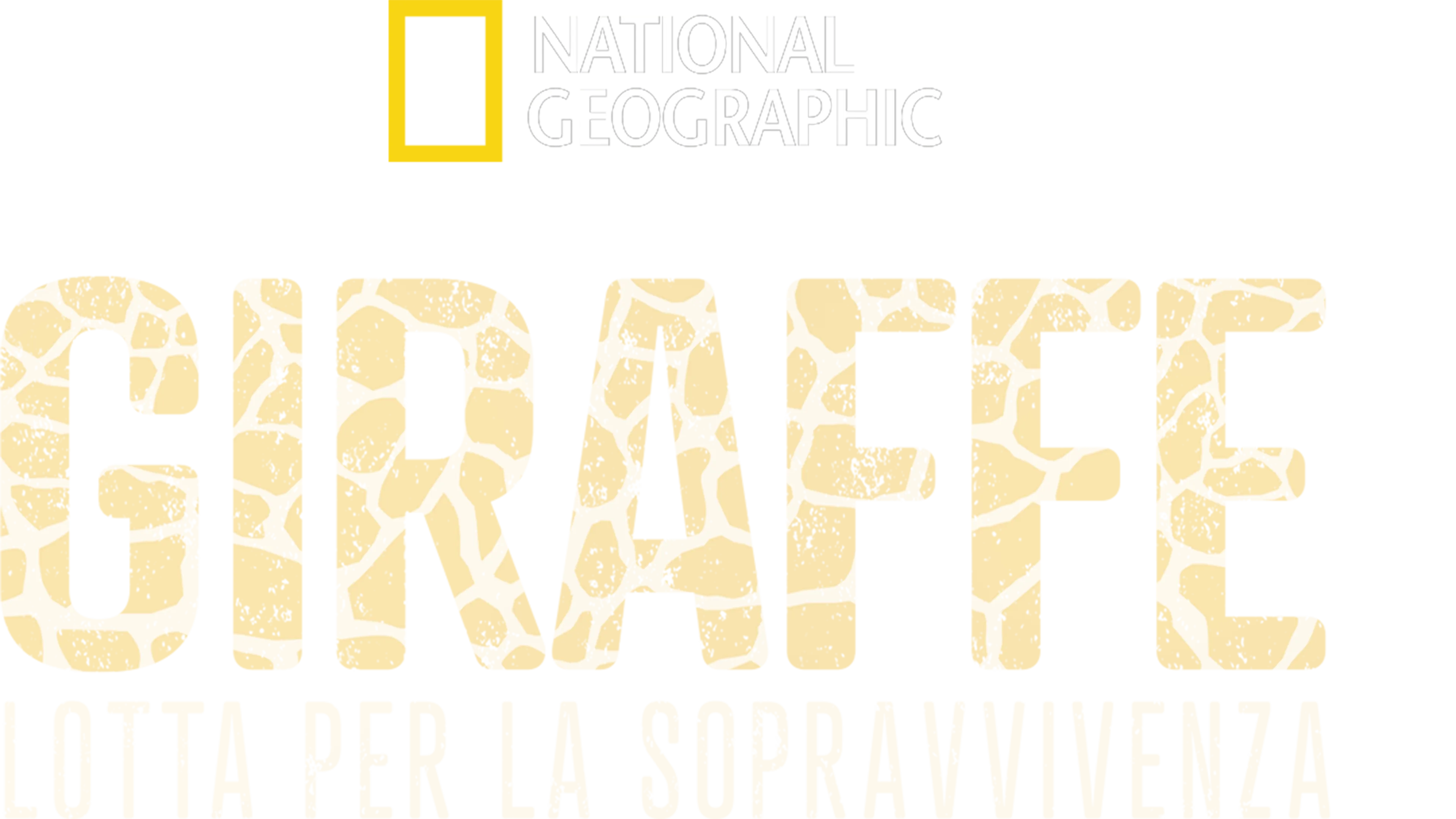 Giraffe: lotta per la sopravvivenza
