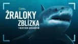 thumbnail - Žraloky zblízka s Bertiem Gregorym