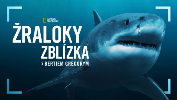 thumbnail - Žraloky zblízka s Bertiem Gregorym