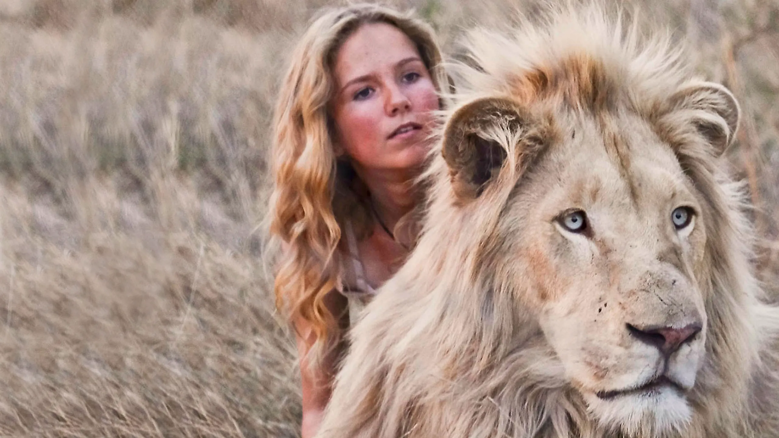 Mia Et Le Lion Blanc
