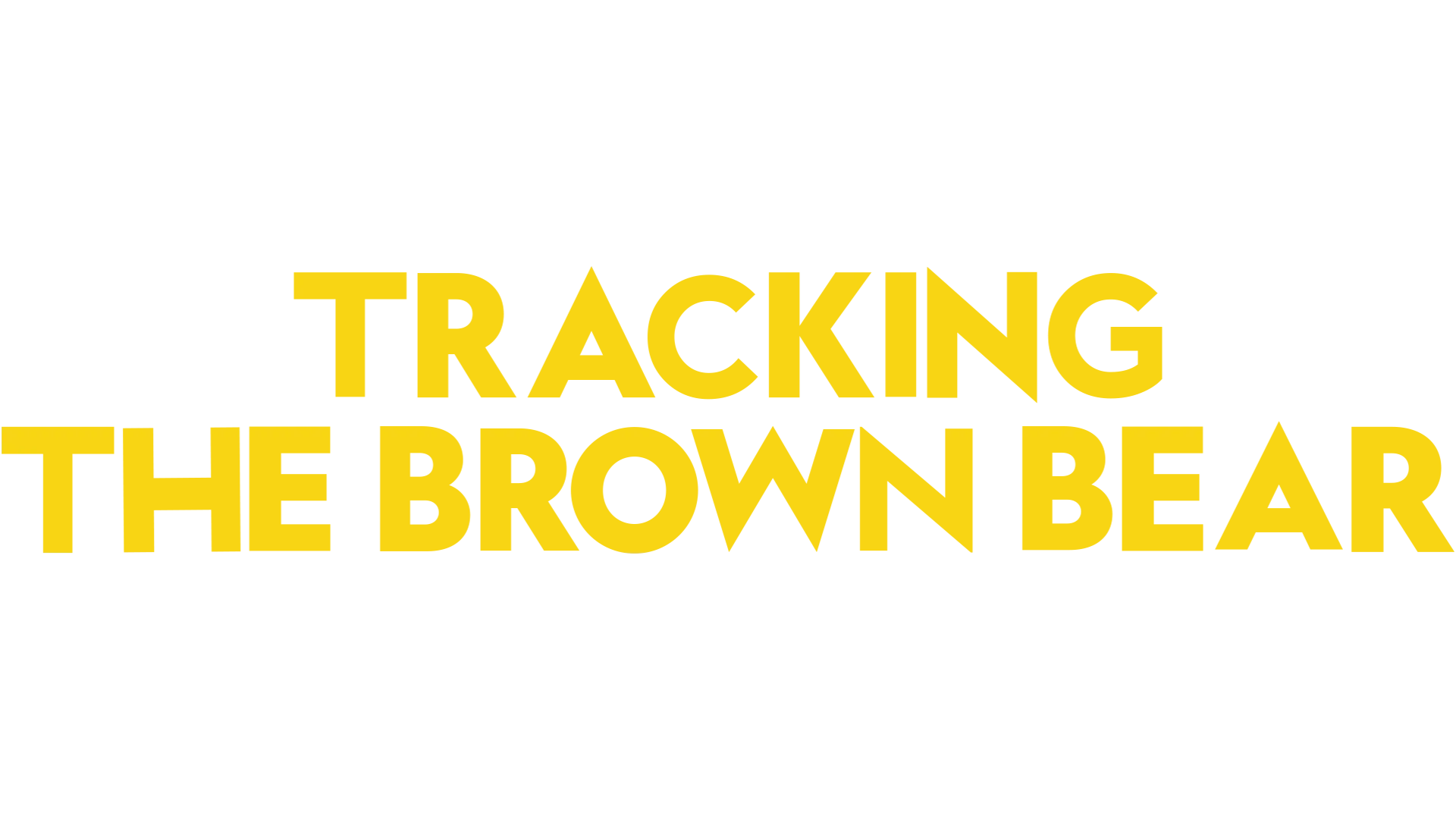 Tracking the Brown Bear