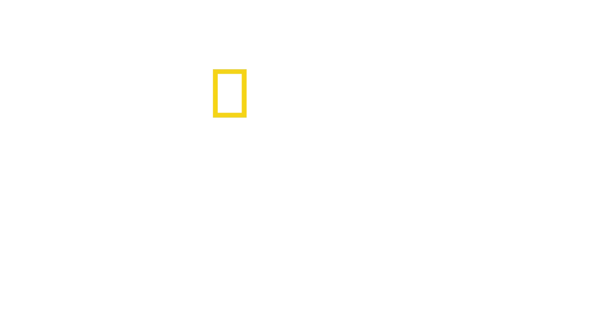 Latin America from Above