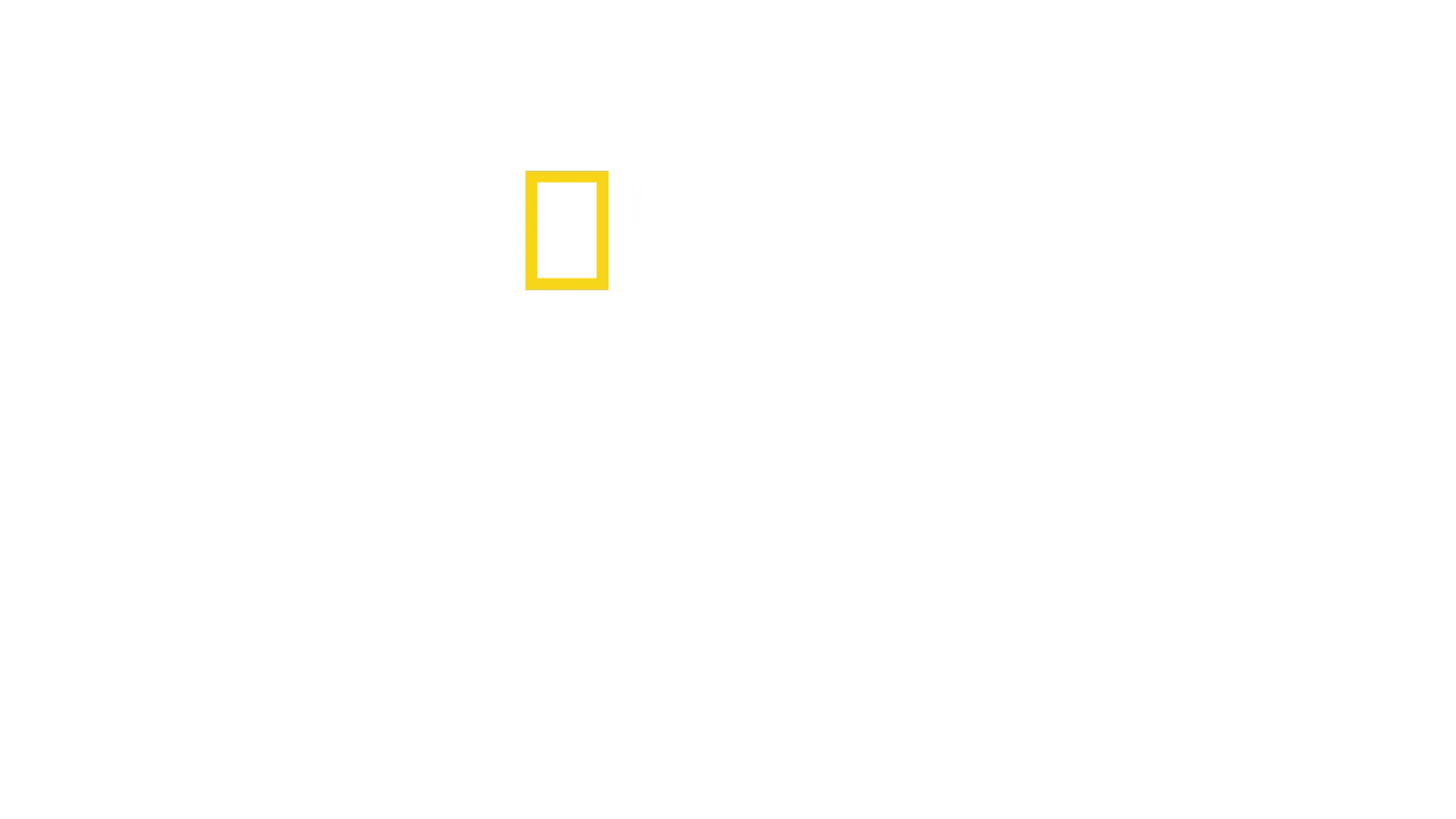 Latin America from Above