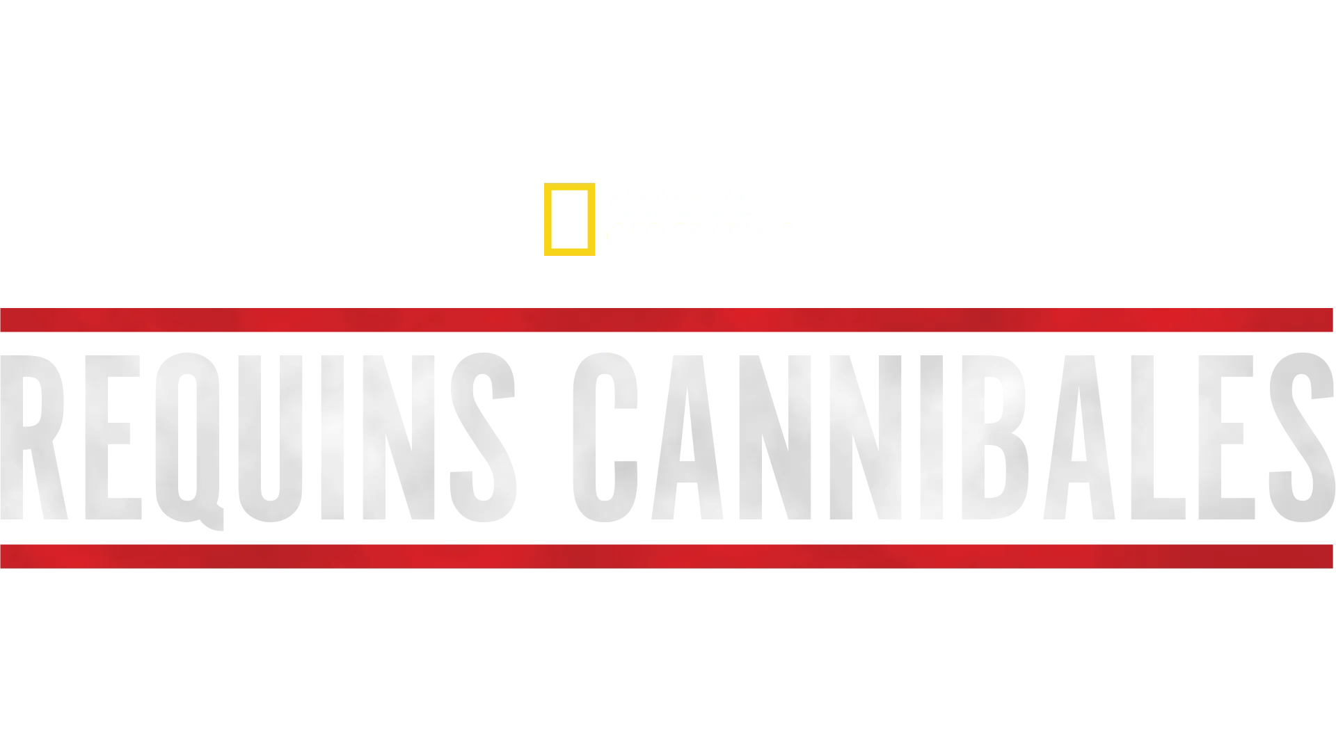 Requins cannibales
