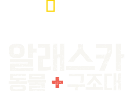 알래스카 동물 구조대