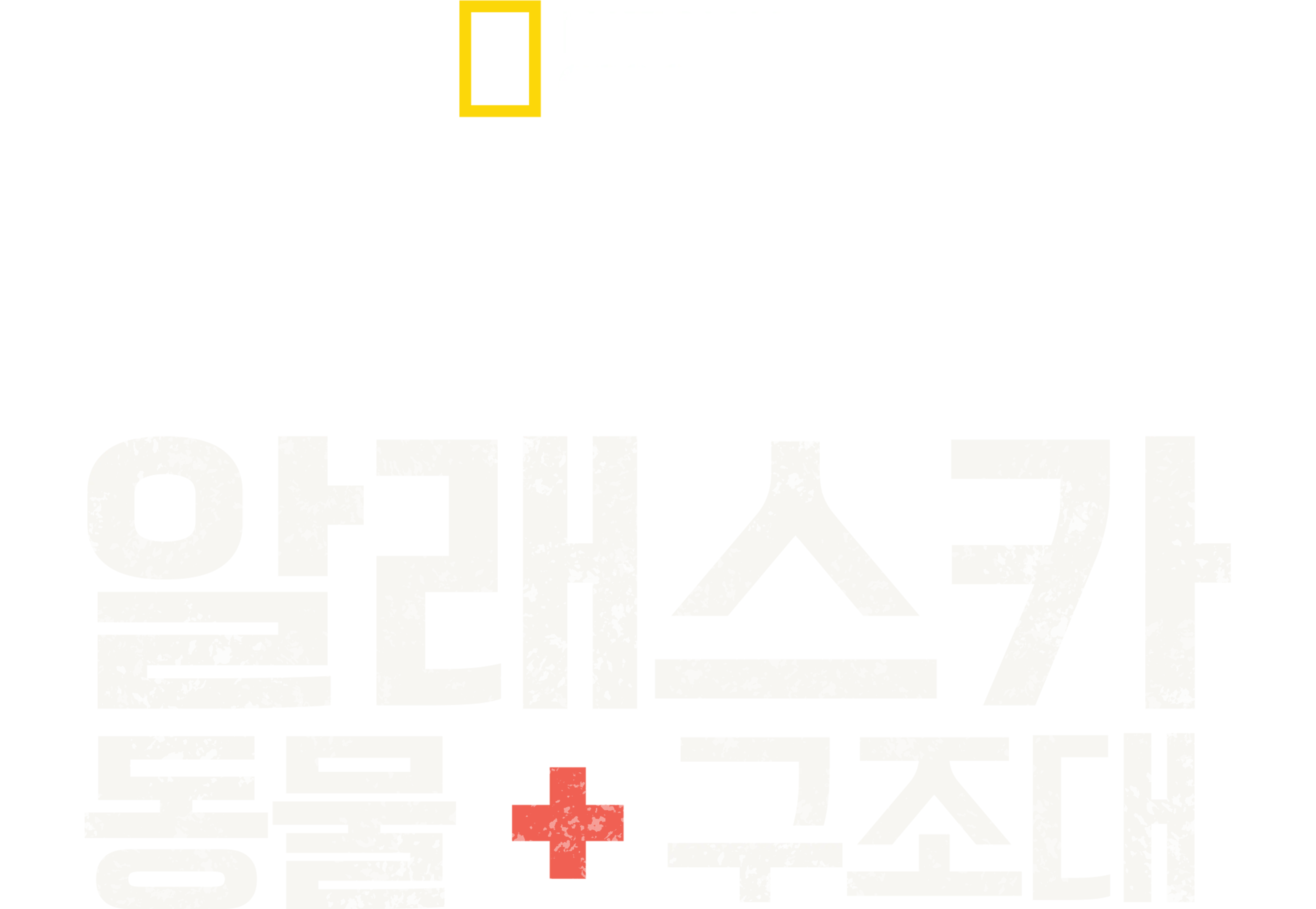 알래스카 동물 구조대
