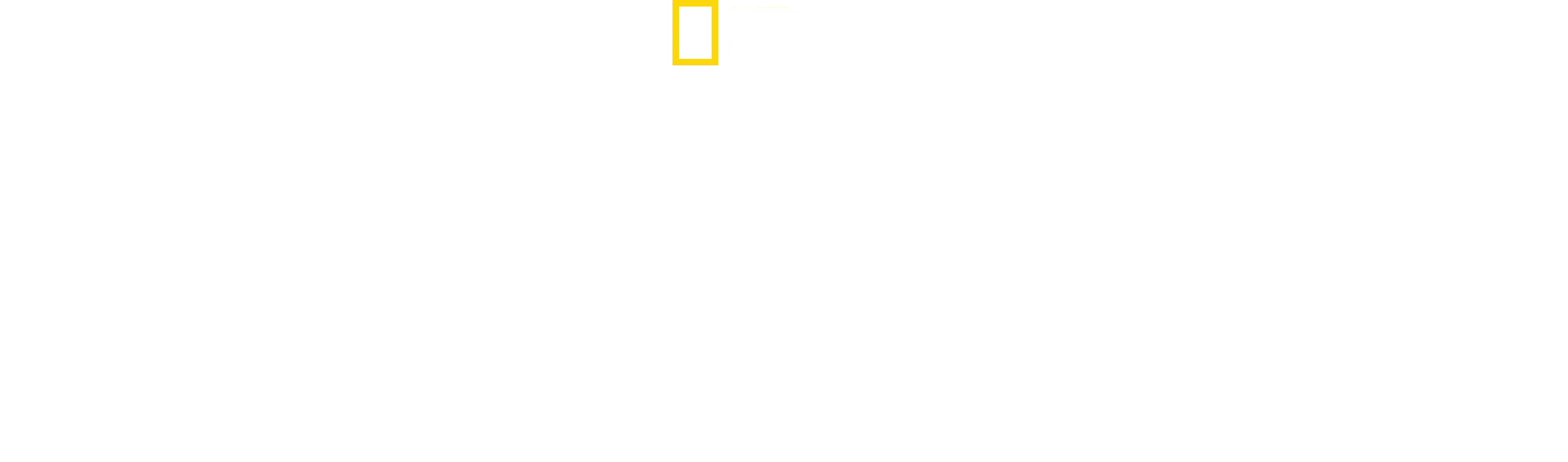 Le royaume sauvage