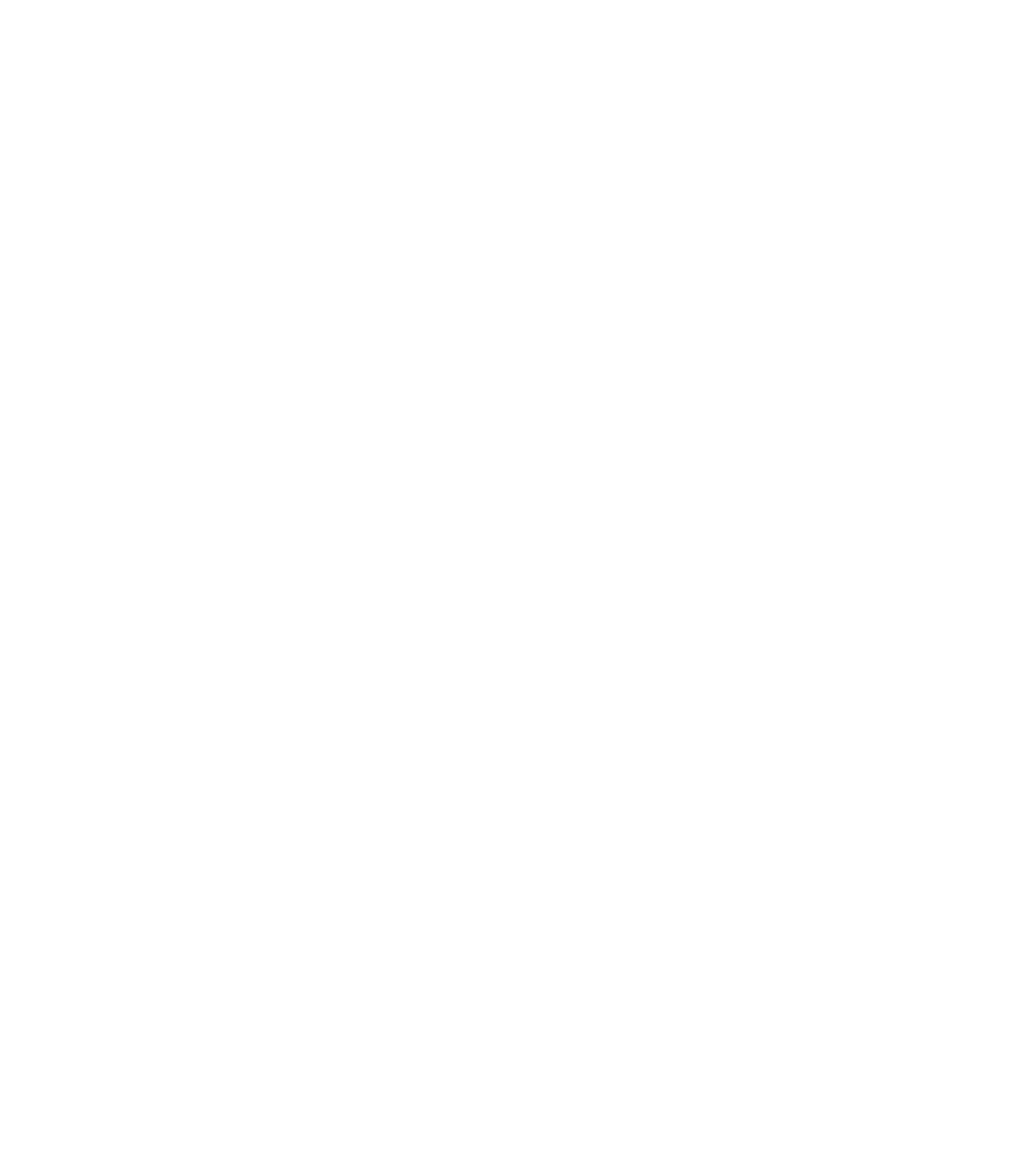 因为我们忘记一切