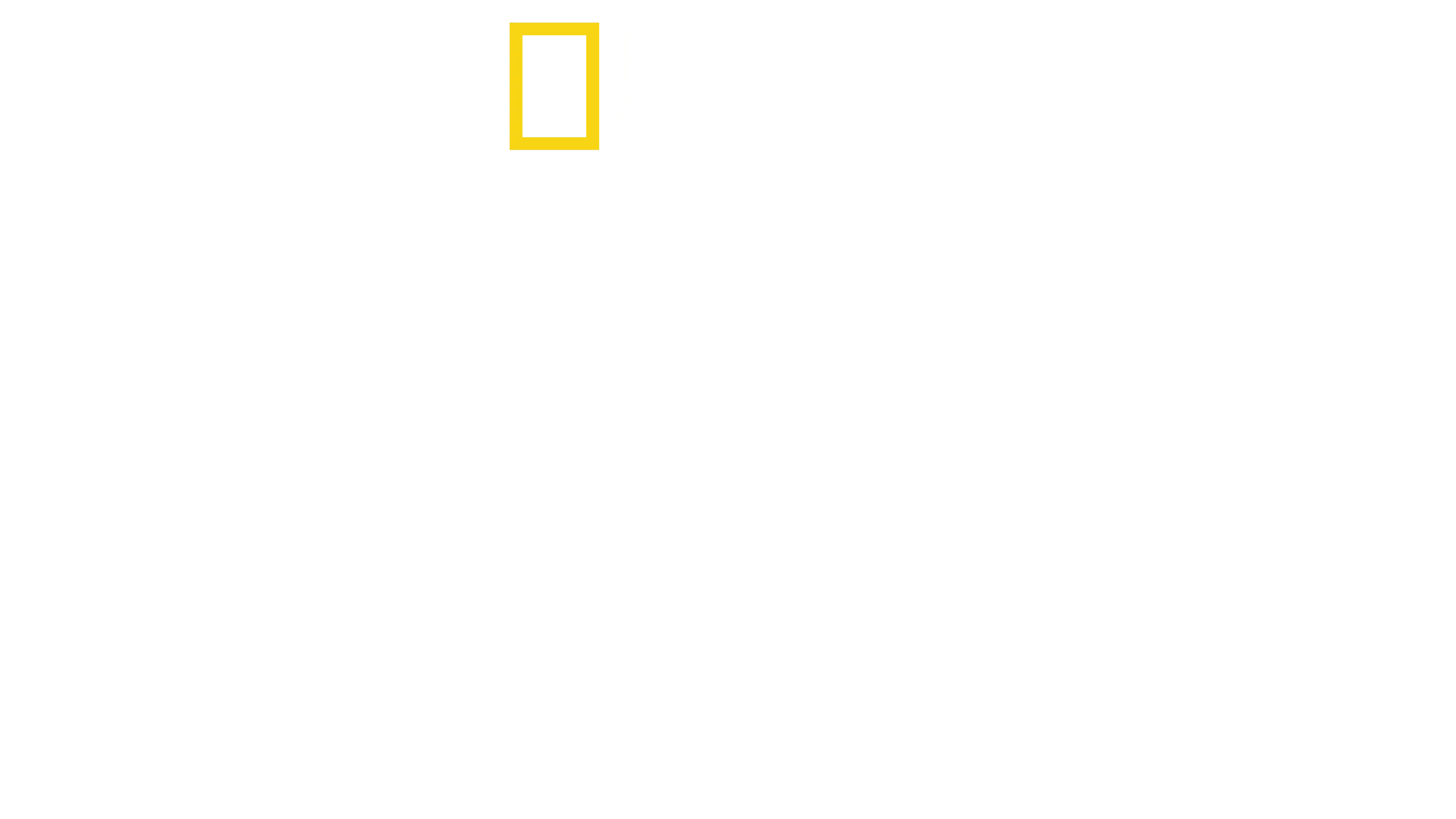 Shark Beach with Anthony Mackie: Gulf Coast