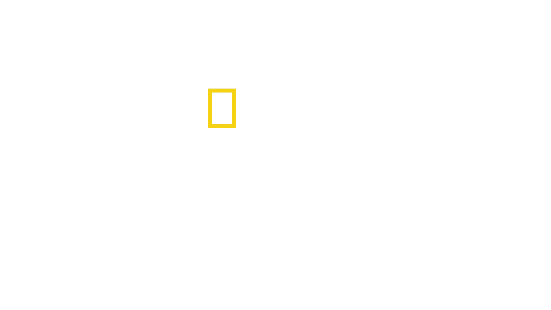 Megaestructuras: El Bernabéu del siglo XXI