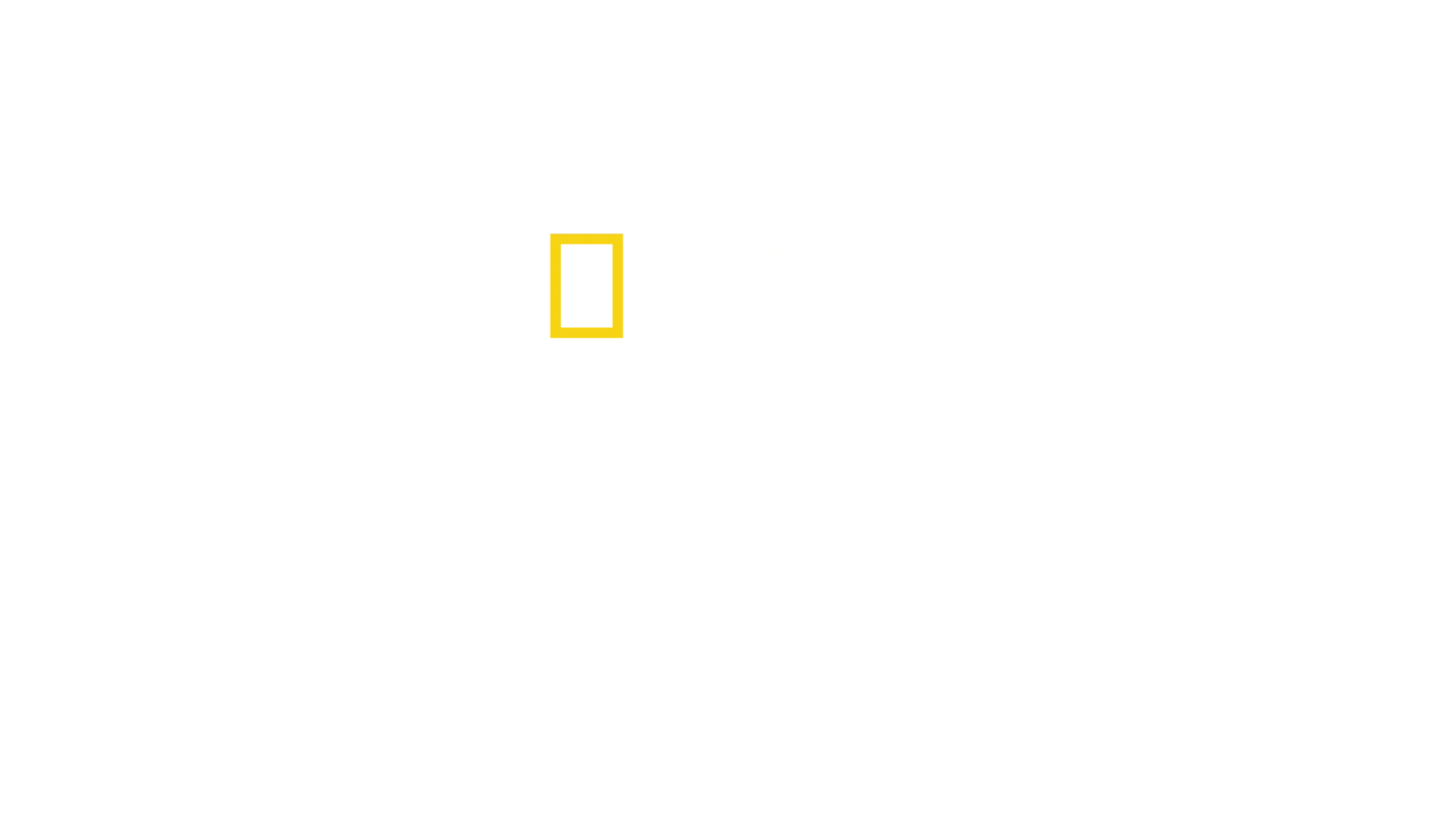 Megaestructuras: El Bernabéu del siglo XXI