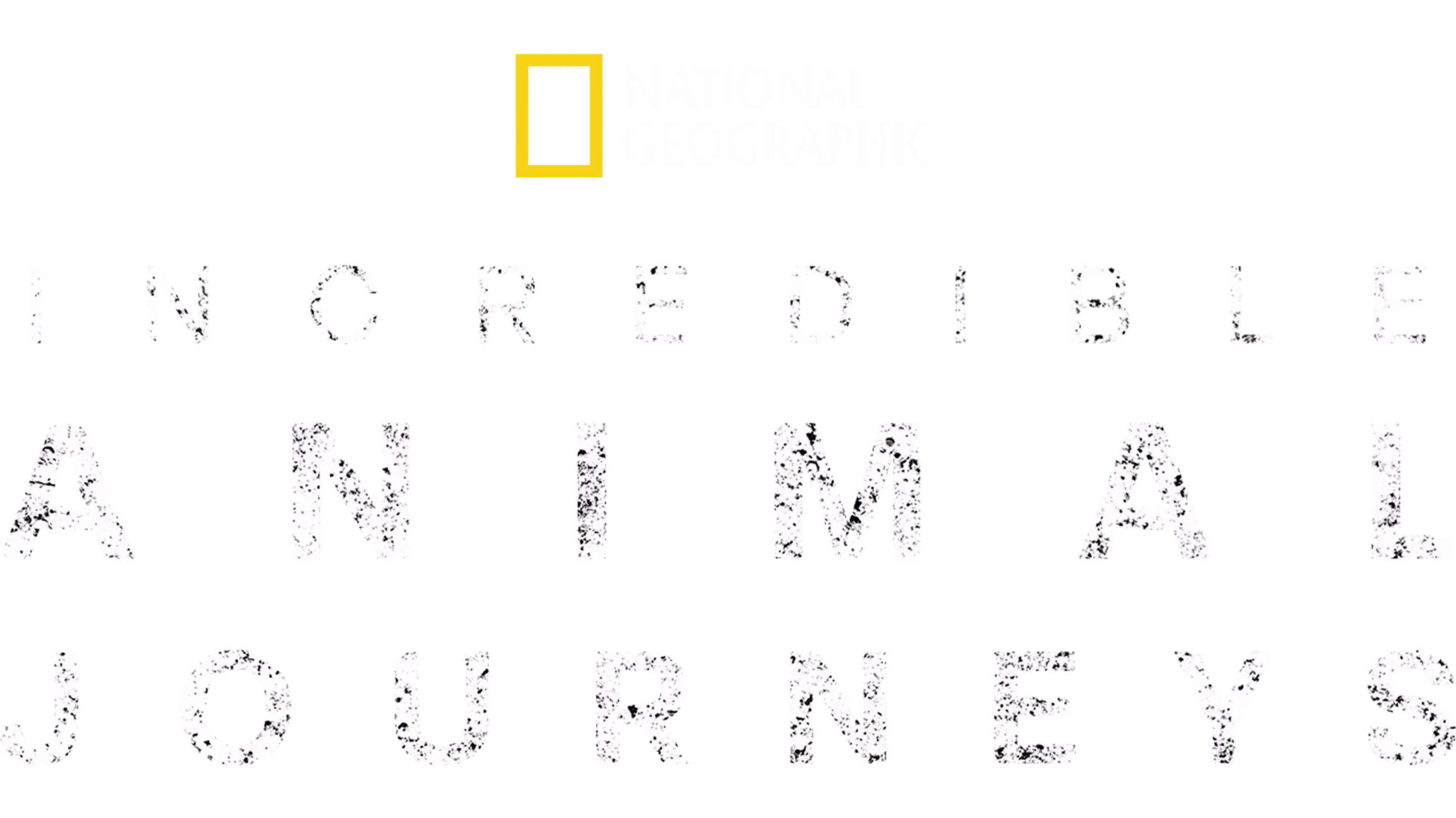 Incredible Animal Journeys