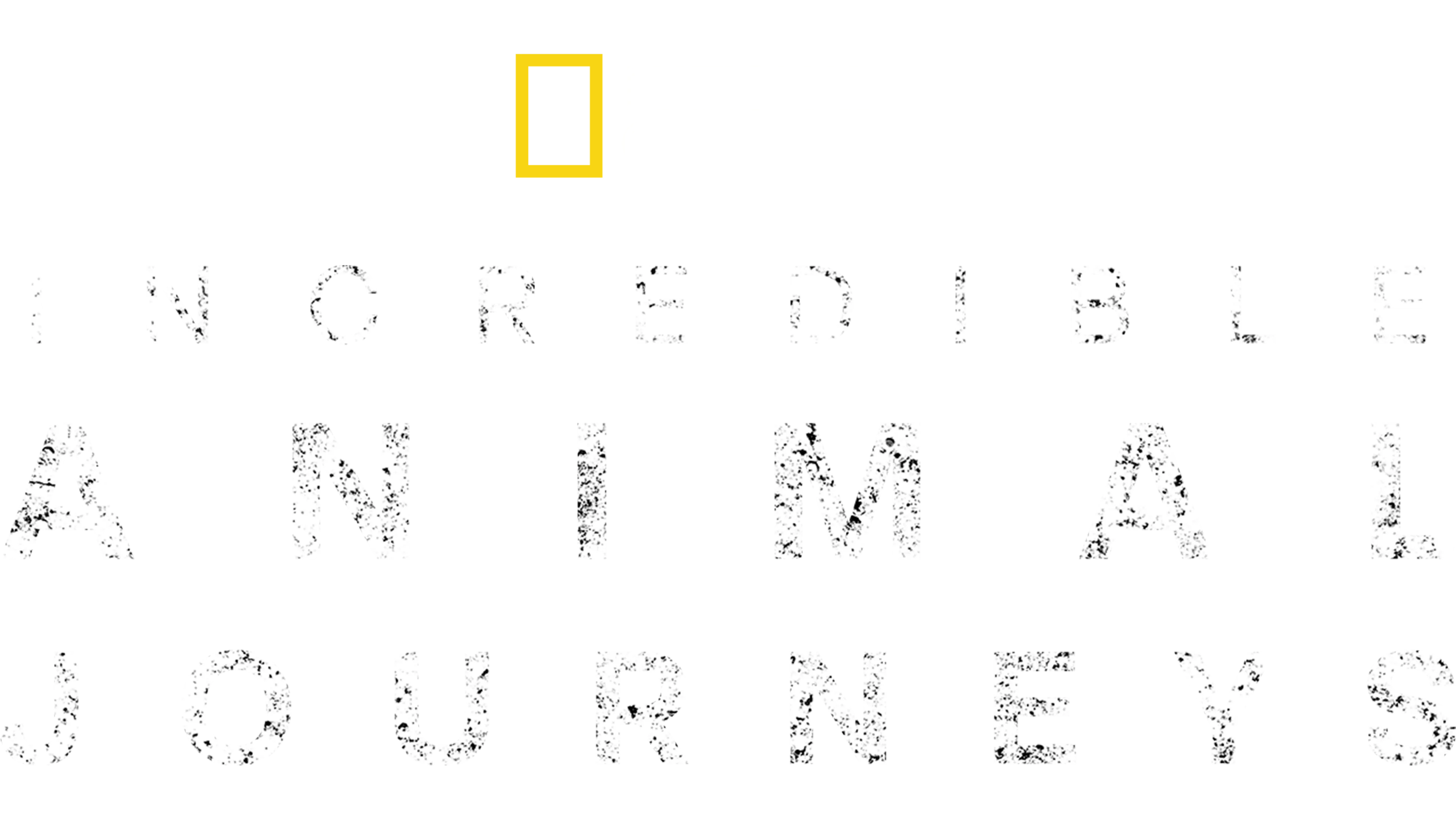 Incredible Animal Journeys