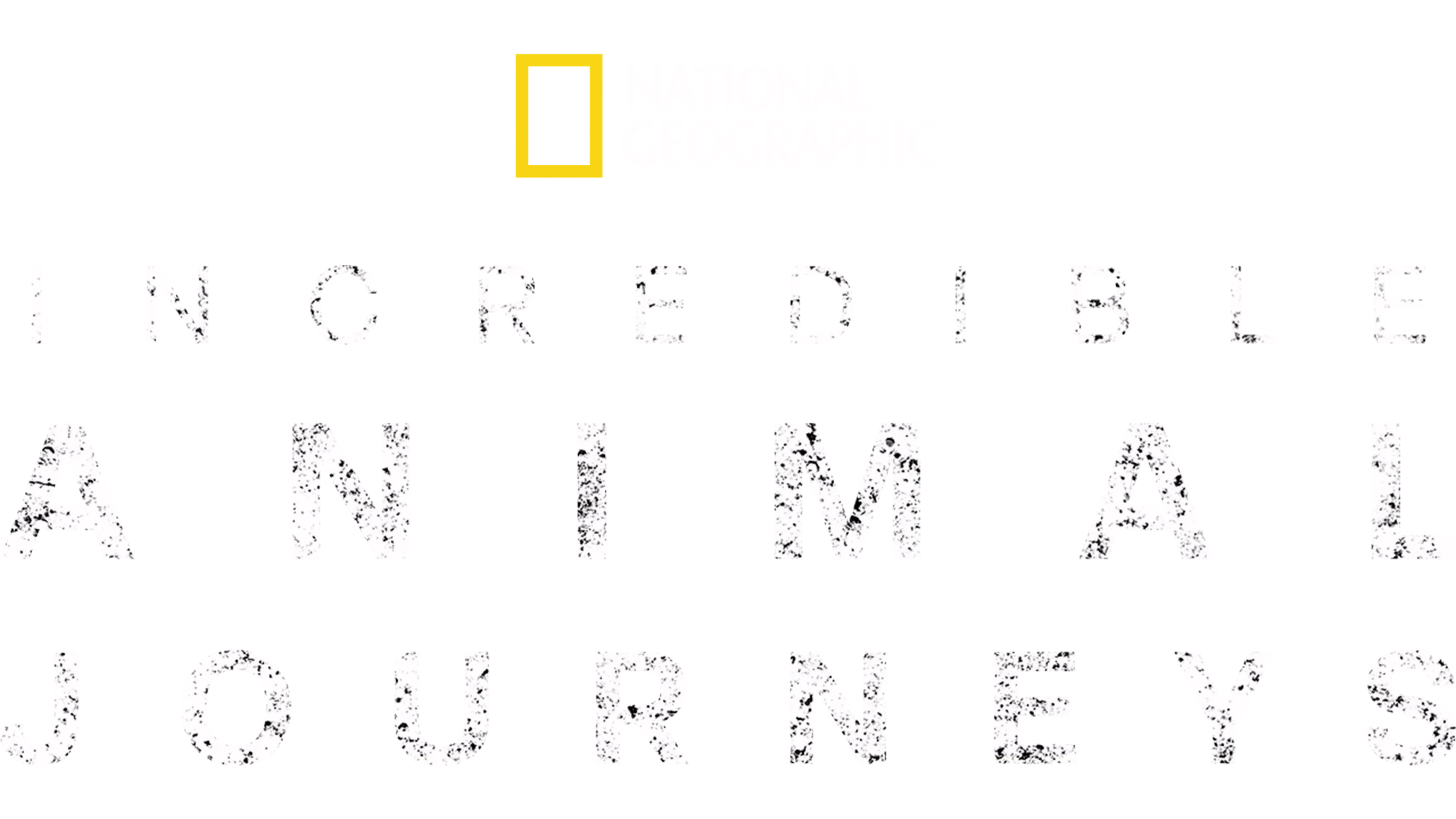 Incredible Animal Journeys