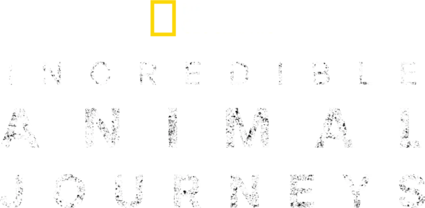 Incredible Animal Journeys