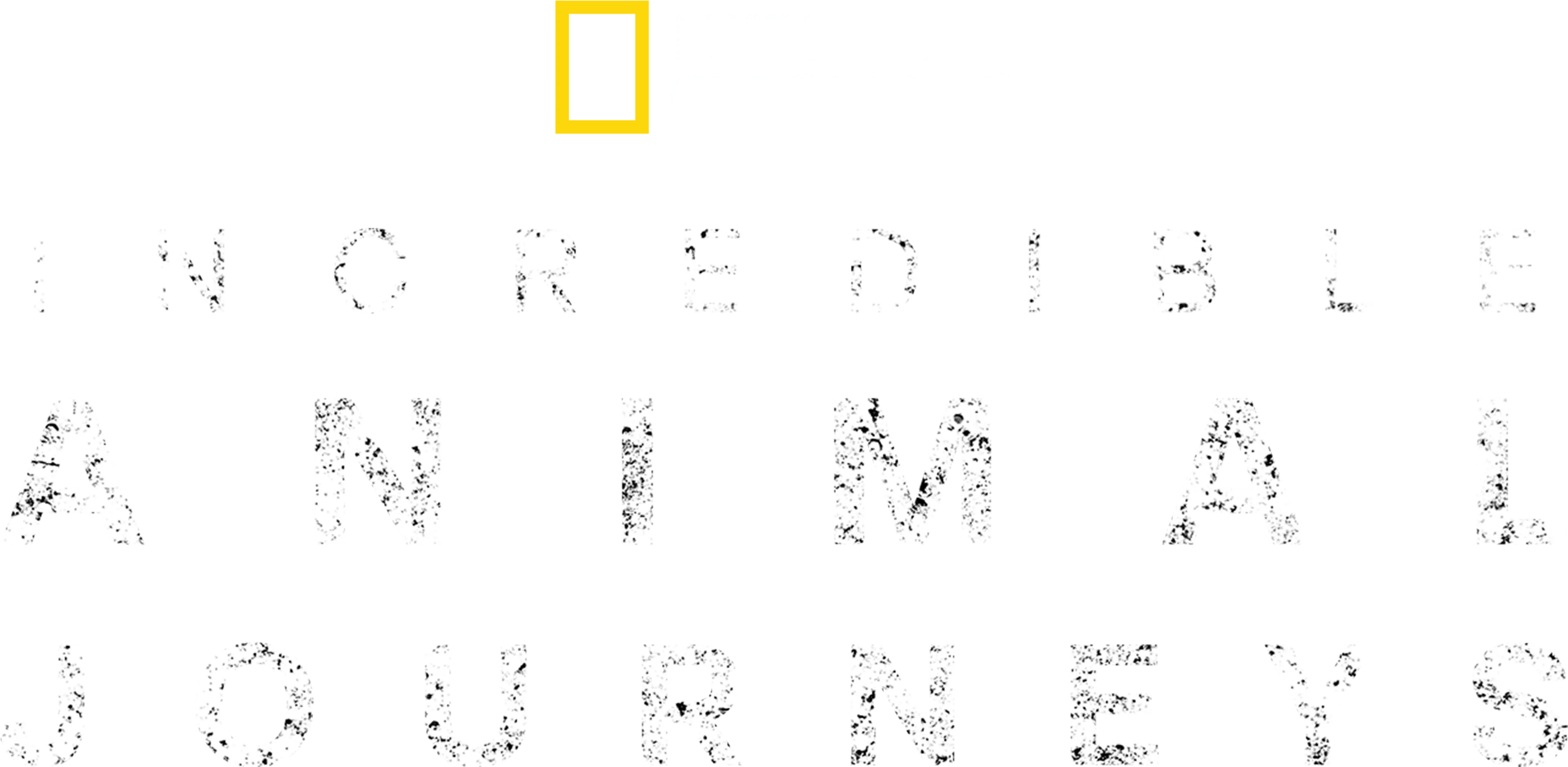 Incredible Animal Journeys
