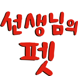 선생님의 펫