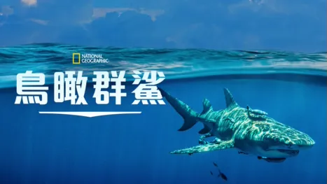 thumbnail - Sky Sharks
