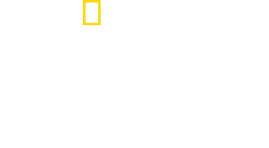 Răii Africii