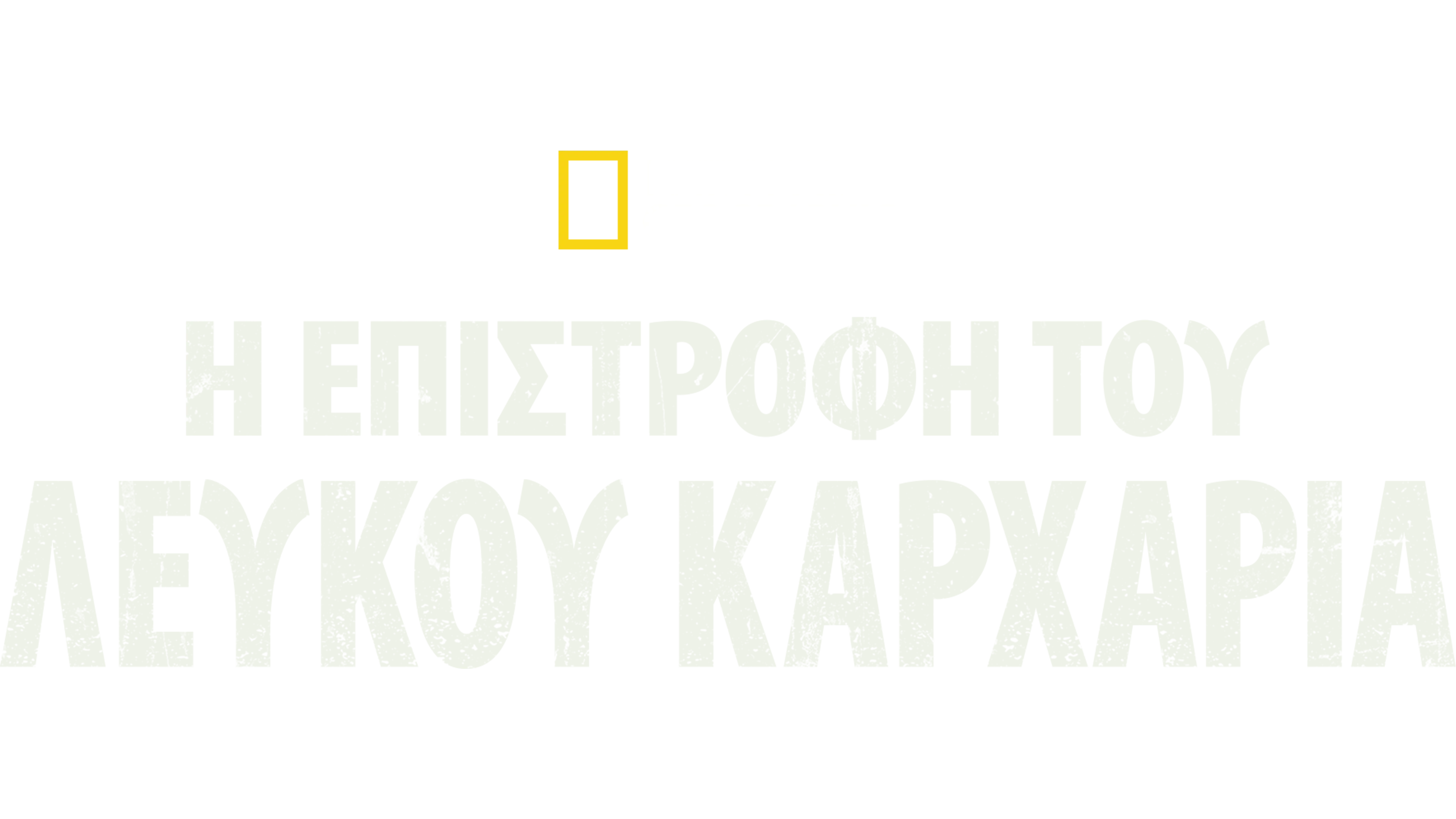 Η Επιστροφή του Λευκού Καρχαρία