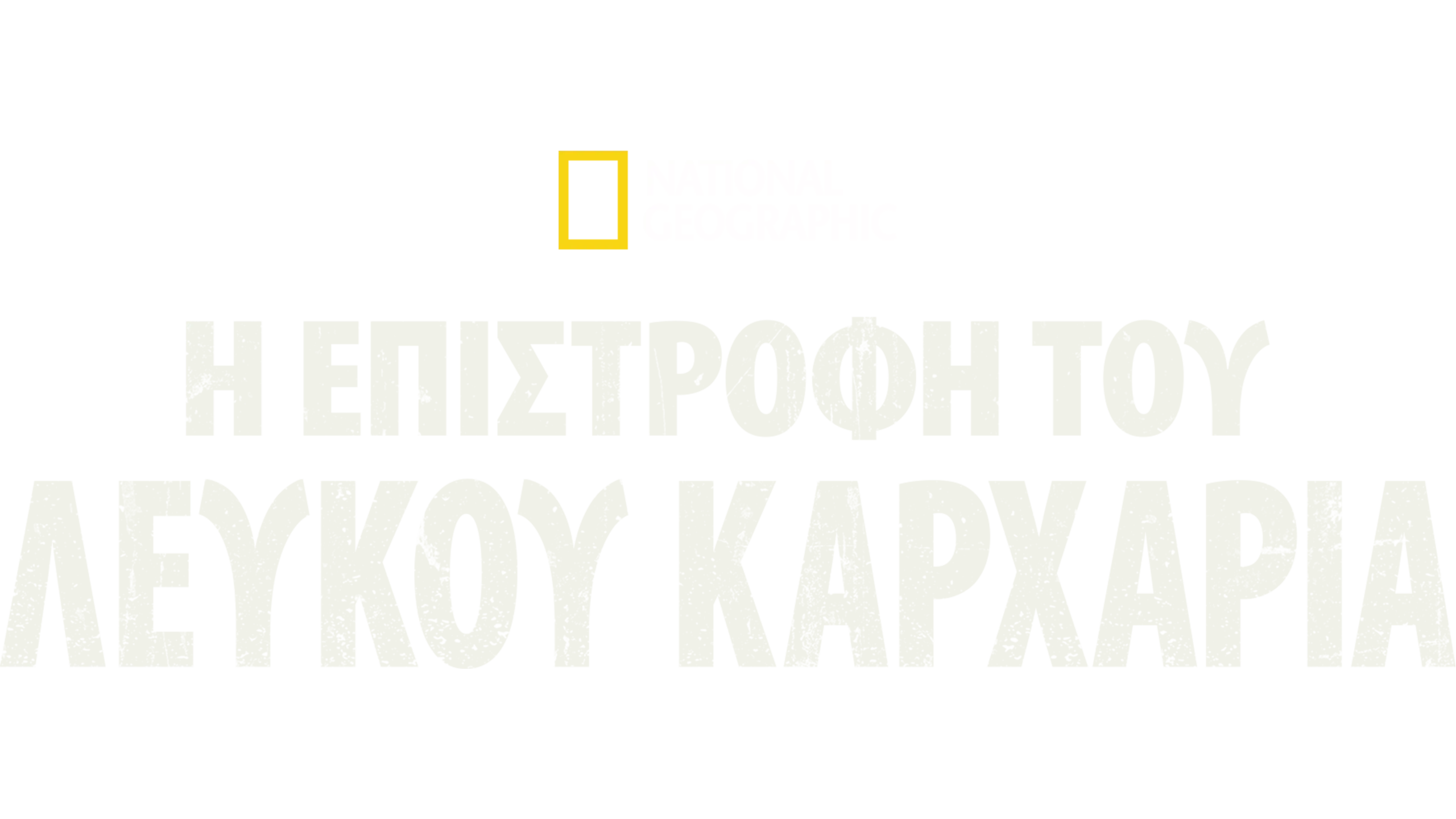 Η Επιστροφή του Λευκού Καρχαρία