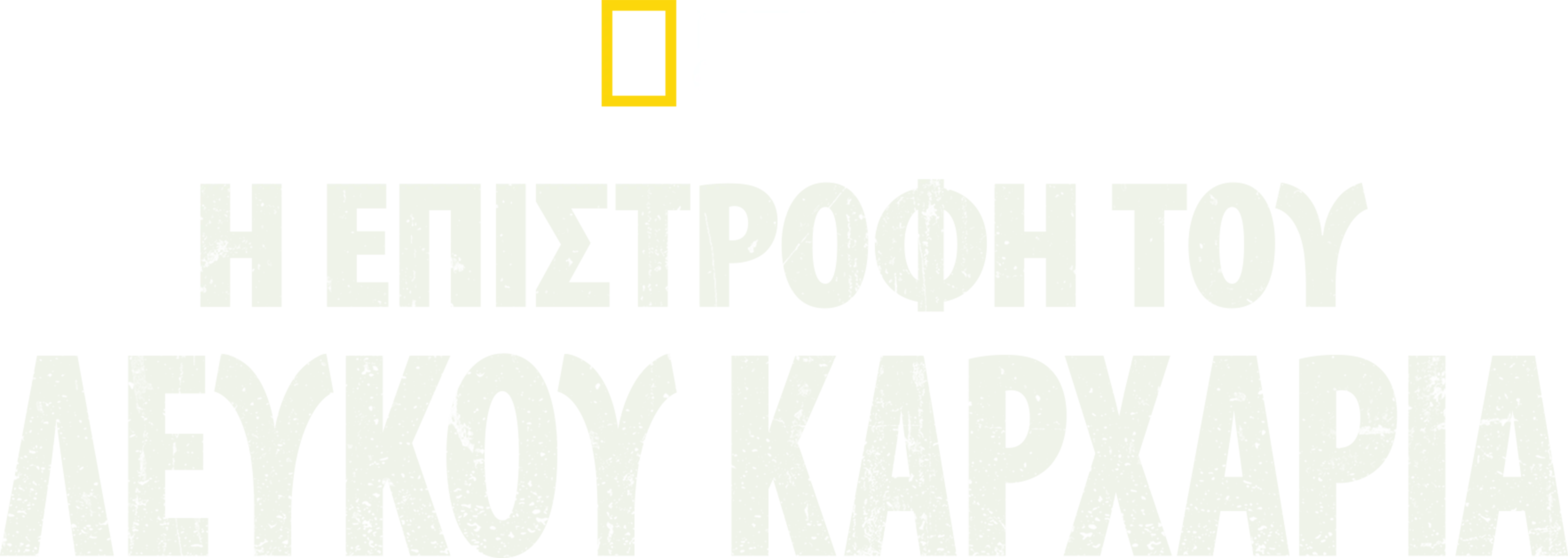 Η Επιστροφή του Λευκού Καρχαρία