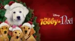 thumbnail - Les Tobby de Noël