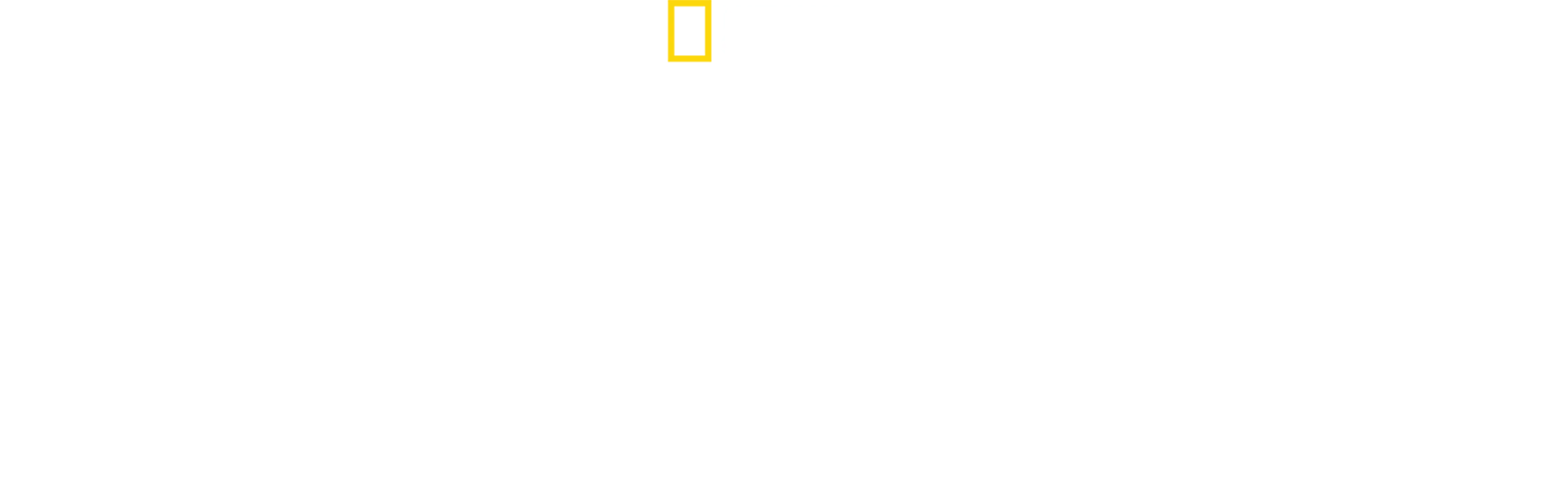 Egzotik Hayvanlara İlk Yardım