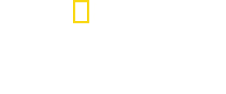 戰火歸途