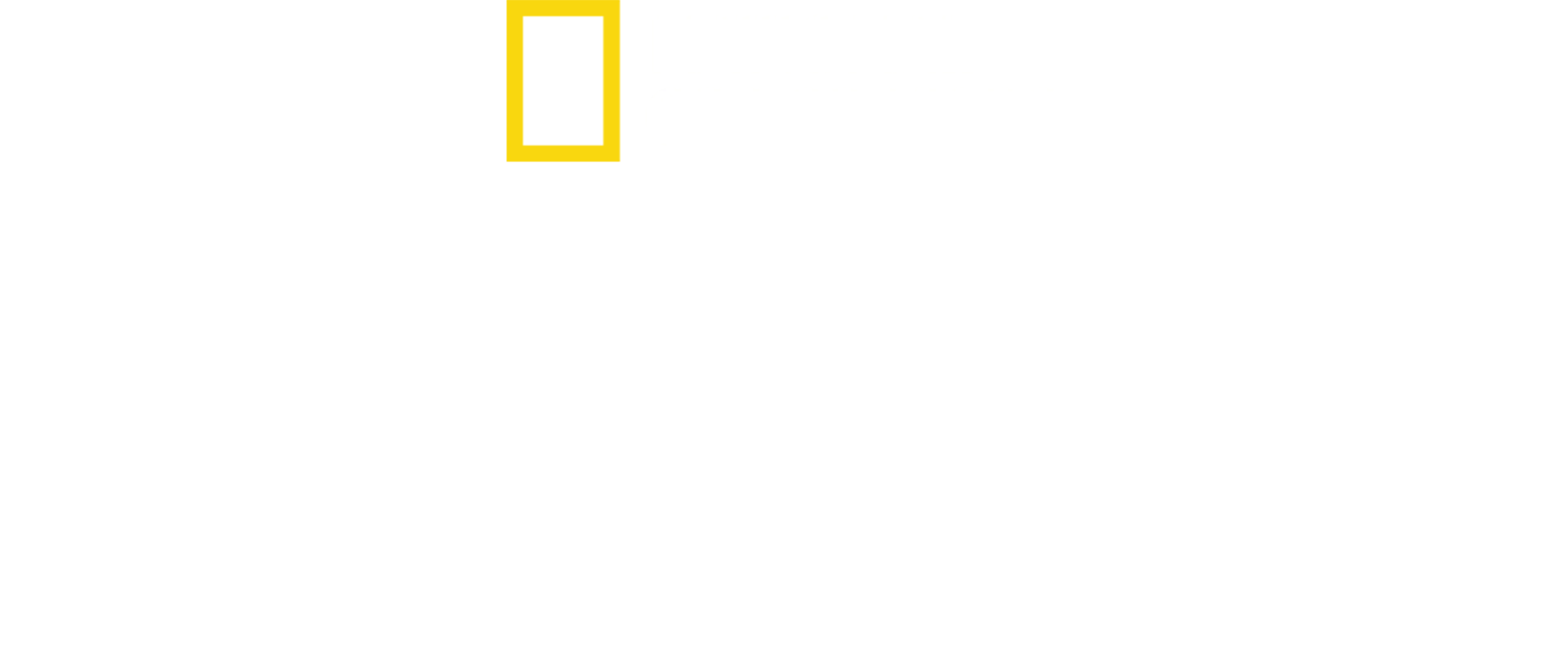戰火歸途