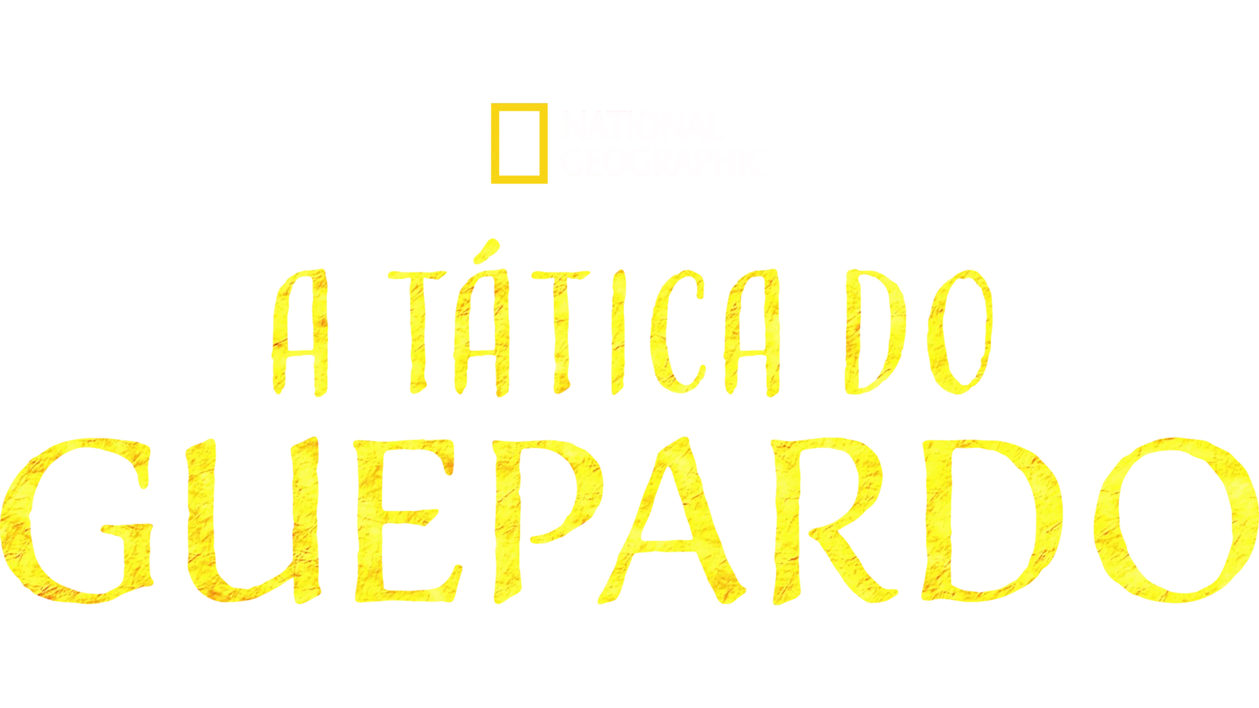 A Tática do Guepardo
