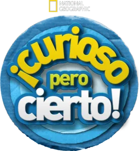 ¡Curioso pero cierto!